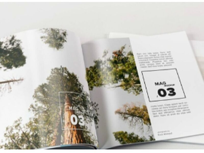Revistas Chile