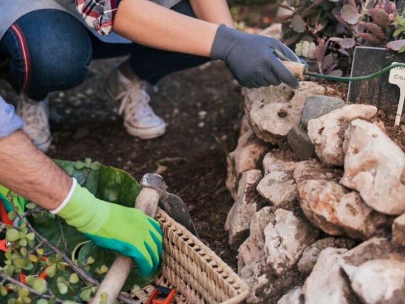 Remodelación Jardines Chile