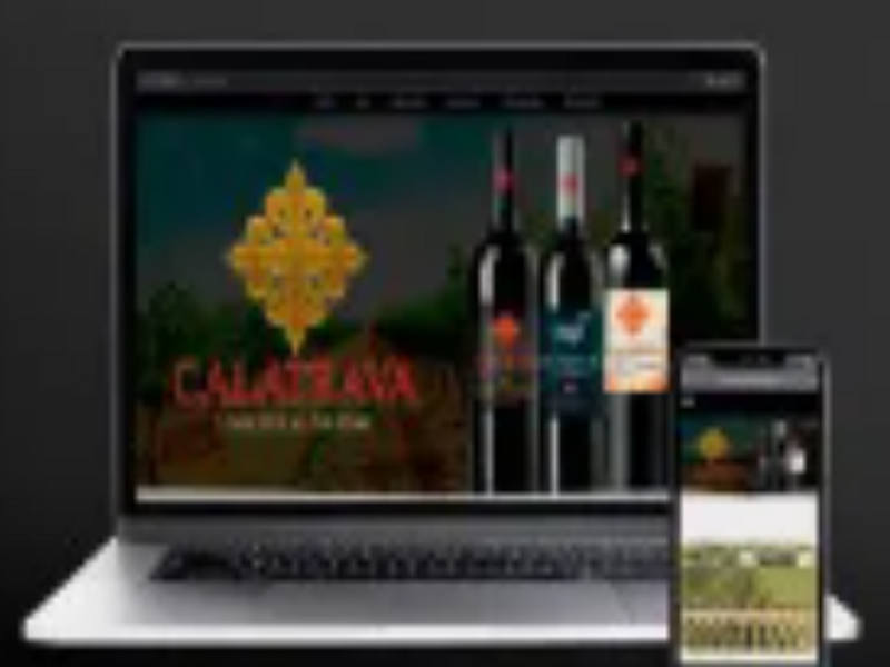 Proyecto: Calatrava Wine 