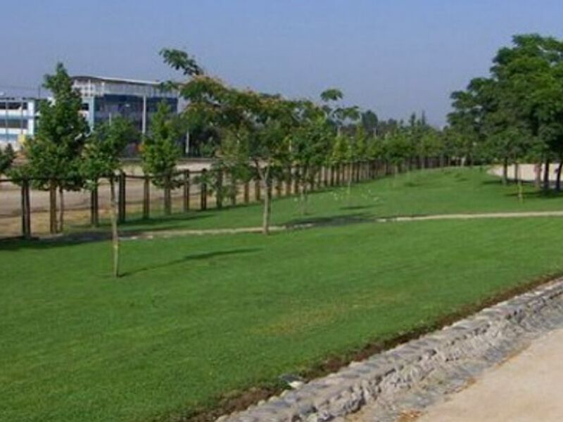 Mantención Áreas Verdes Iquique