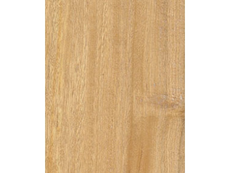 Madera zebrano Chile