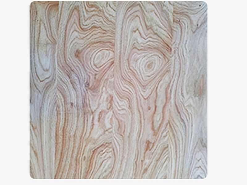 Madera Castaño Chile 