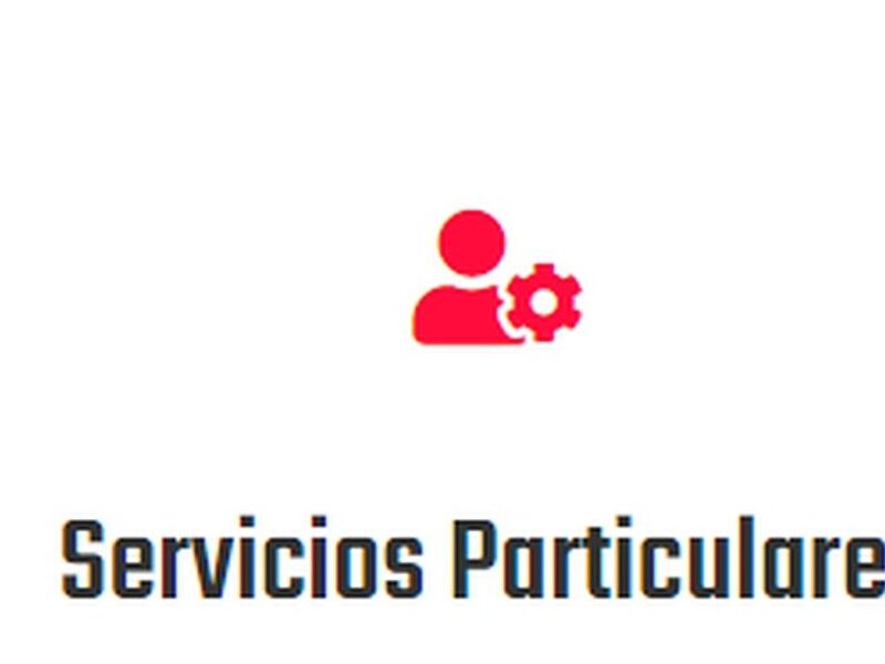 Servicios Particulares Chile