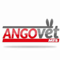Ferreteria Angovet