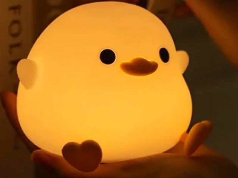 LAMPARA PATO CHILE