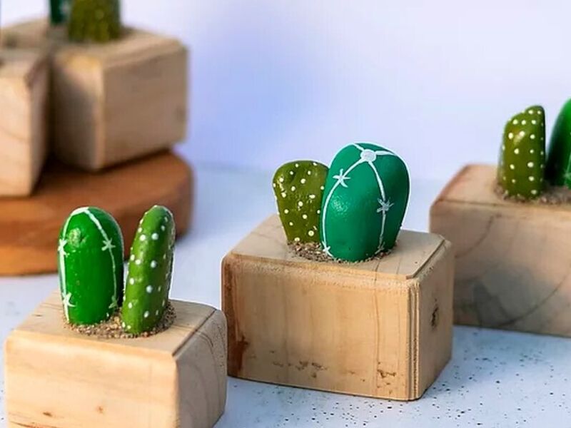Mini Cactus piedras pintadas