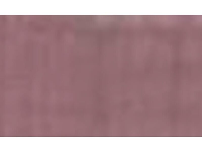 PINTURA ROSA CHILE