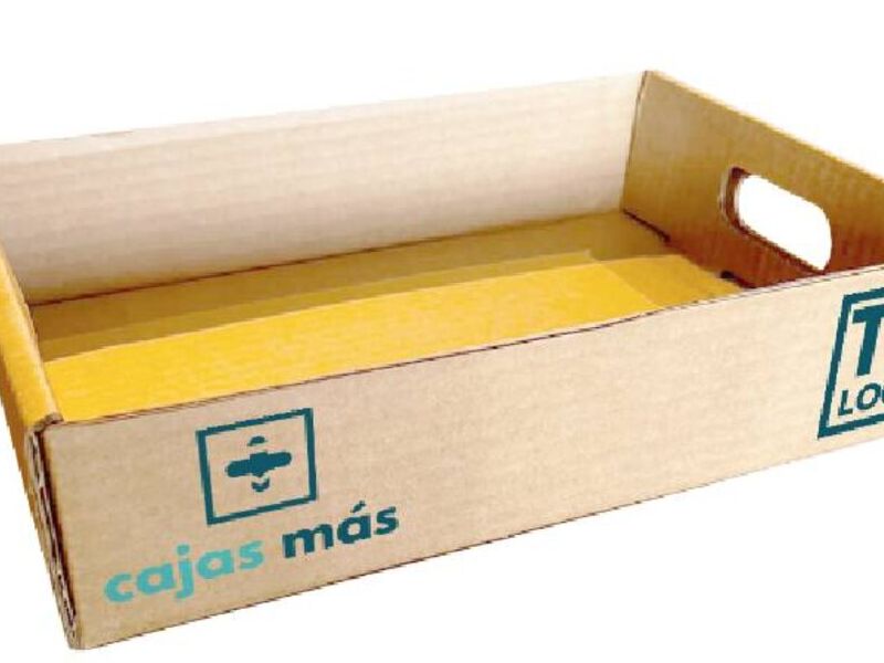 BANDEJA AUTOARMABLE 35X25X08CM