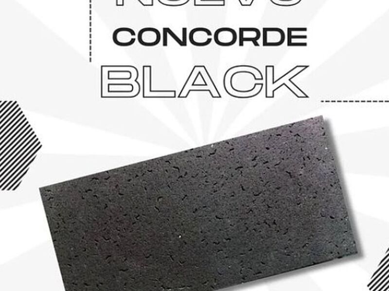 Palmeta concorde blak Chile 