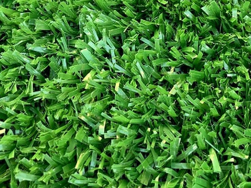 Pasto sintetico mm pro Chile 