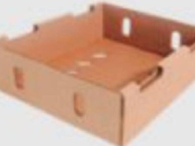 Caja para Exportación