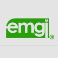 Emgi