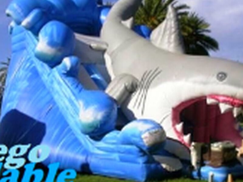 Tiburón Tobogán 
