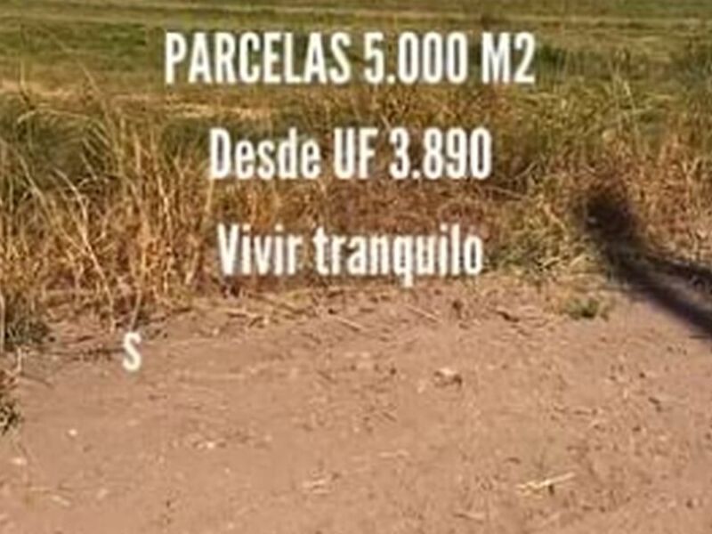 Inmobiliaria Servicio Chile