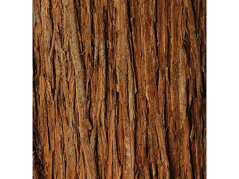 Madera cedro Chile