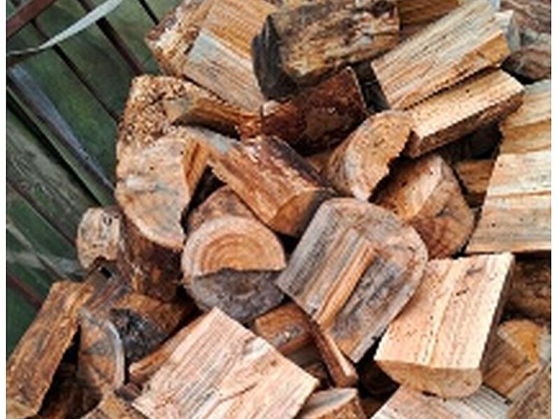 Madera troncos Chile