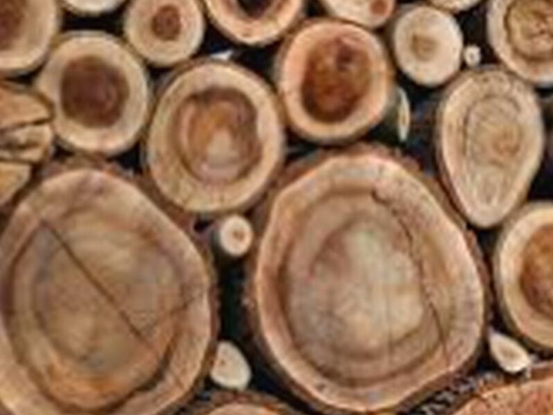 Madera nogal Chile