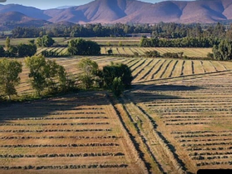 Terreno en Mallarauco