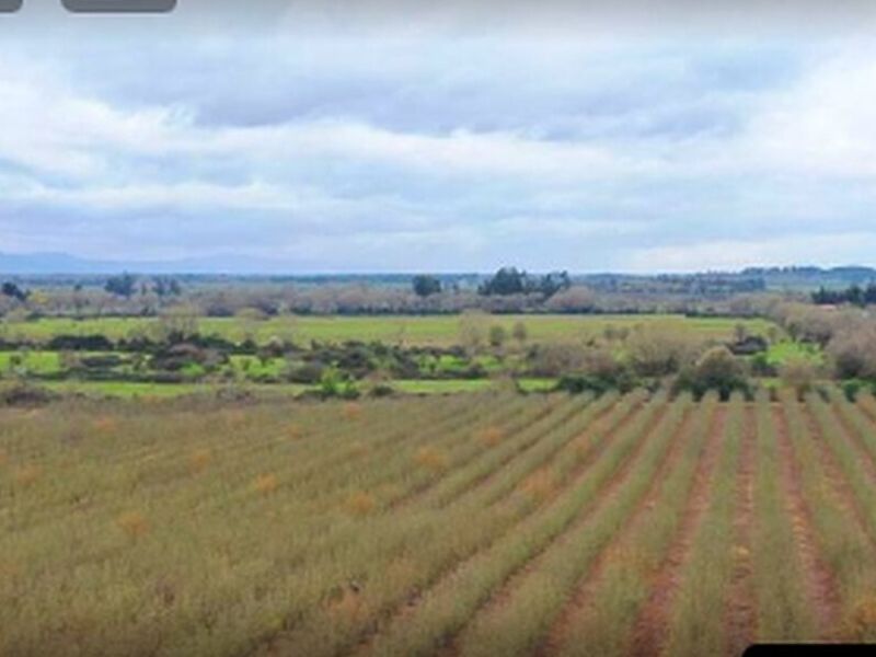 Terreno en Pelarco