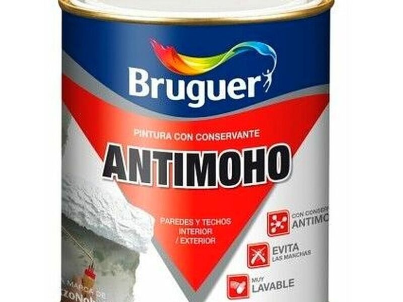 Pintura antimoho Santiago
