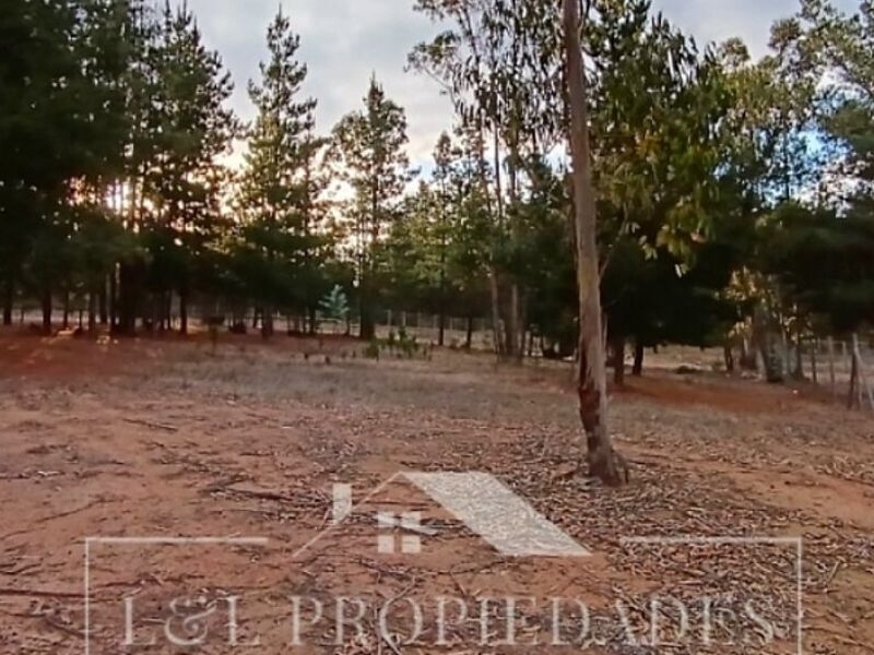 Parcela venta algarrobo chile