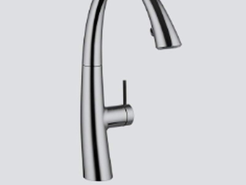 Grifo zoe Chile