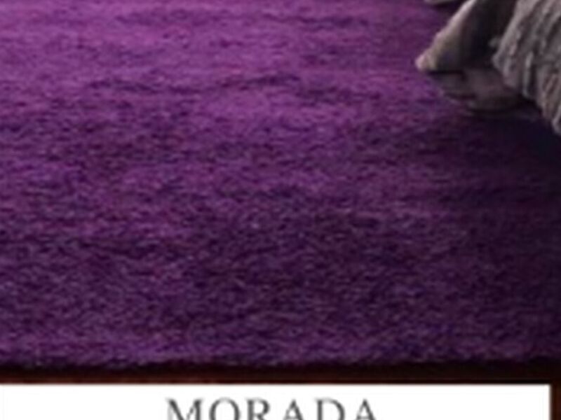 Alfombra “Morada” Ñuñoa