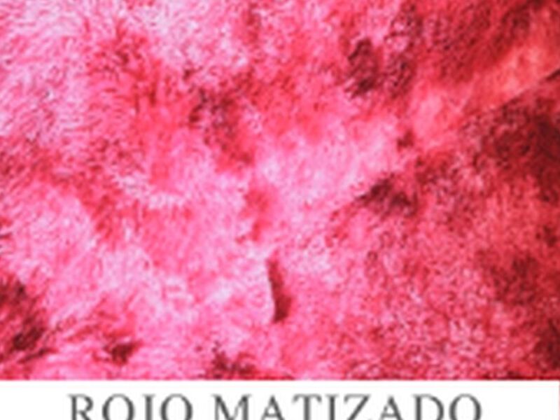 Alfombra “Rojo Matizado” Ñuñoa