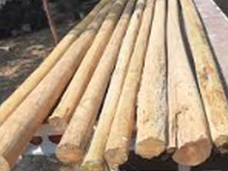 Madera postes Chile