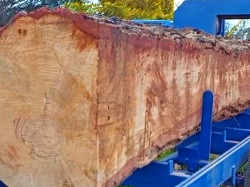 Madera tronco Chile