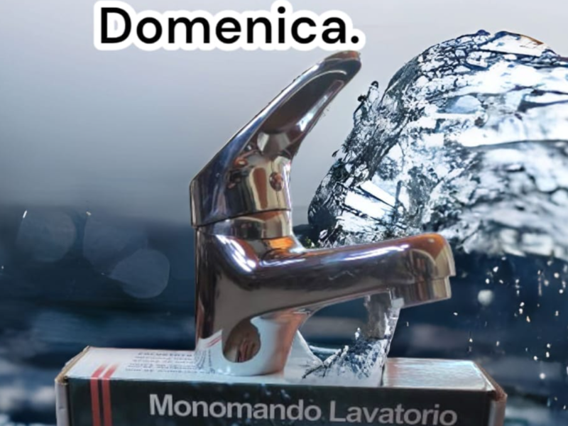 monomamdo lavatorio domenica Chile