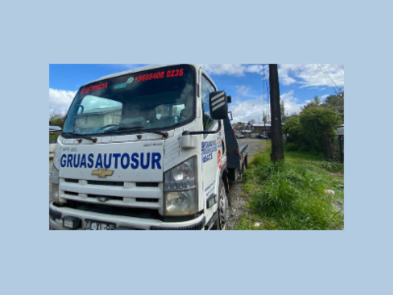 Grua con rampa Puerto Montt