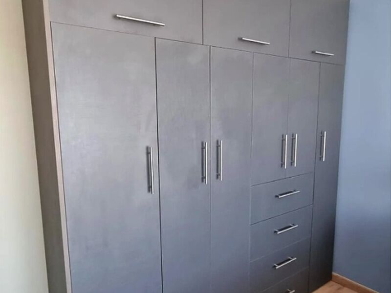 closet color platino Buin