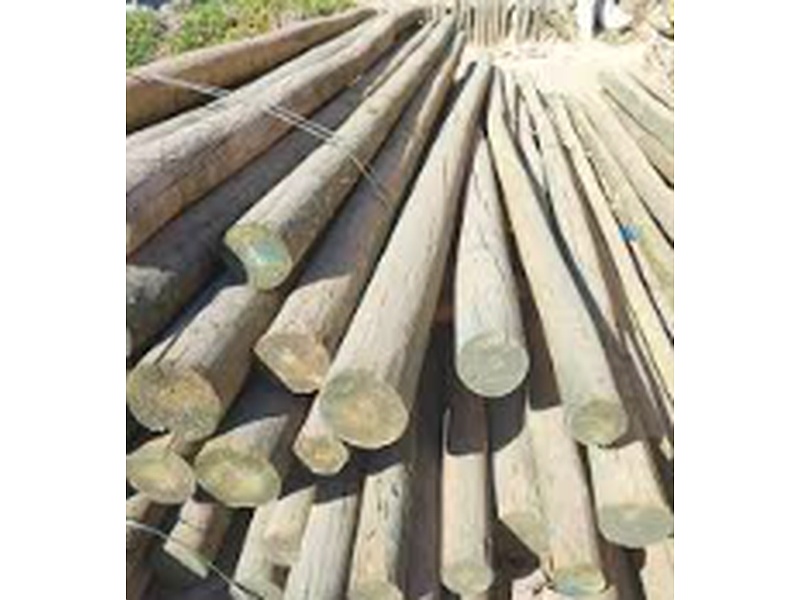 Madera postes Chile