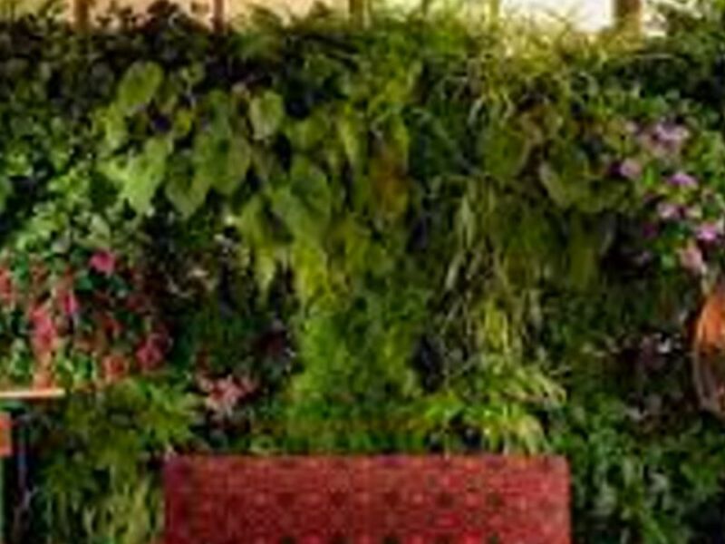 Jardines Verticales