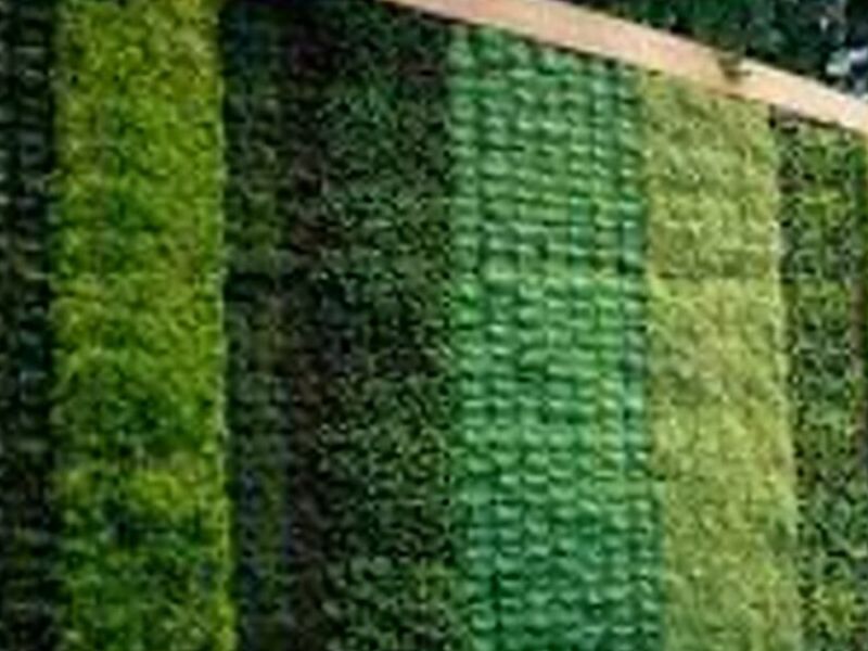 Jardines Verticales Chile