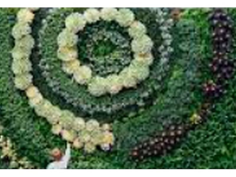 Jardines Verticales CL