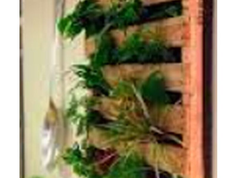 Jardines Verticales Decoracion