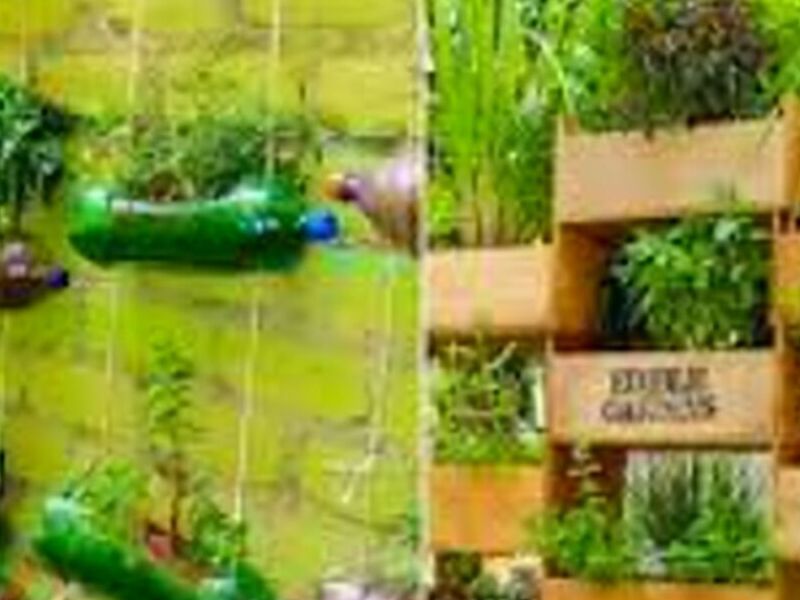 Jardin Vertical