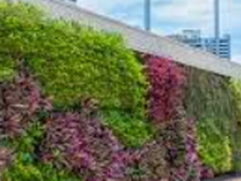 Jardin Vertical CL