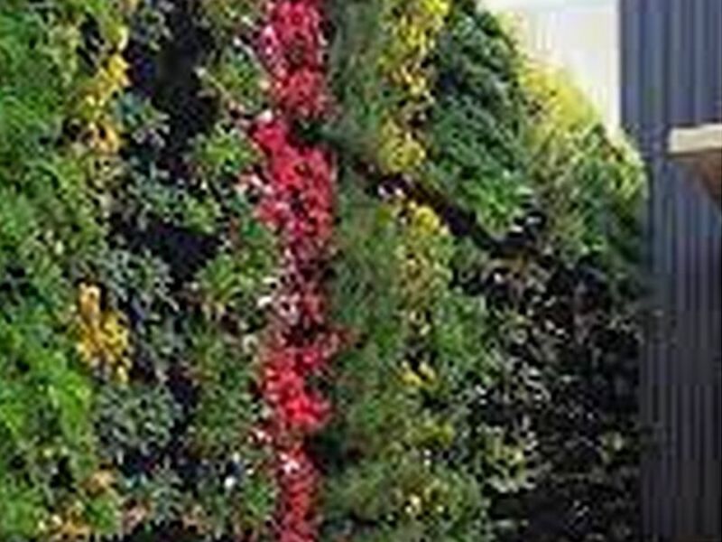 Chile Jardines Verticales