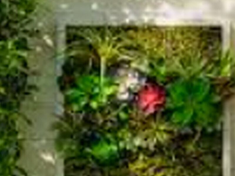 CL Jardines Verticales