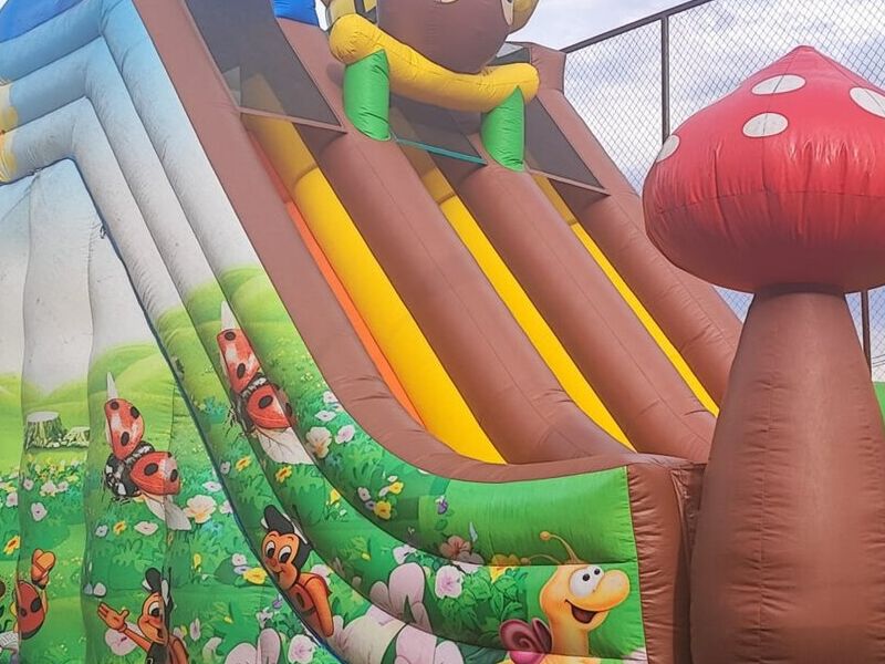 Inflable Rosas Chile