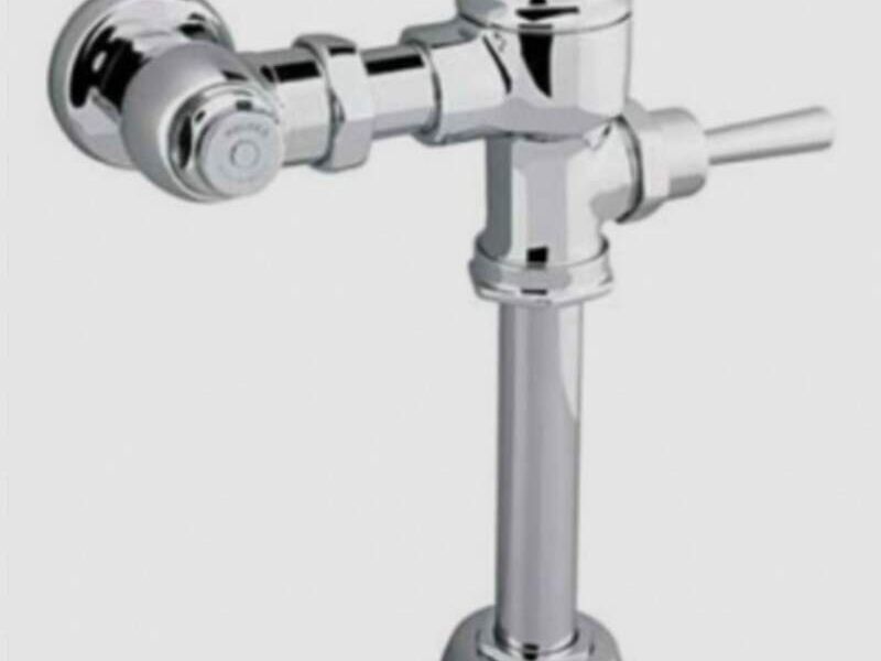 Fluxometro WC (fluxómetro para WC)