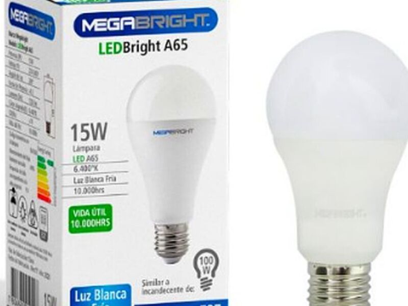 Ampolleta Led 15 w Luz Fría