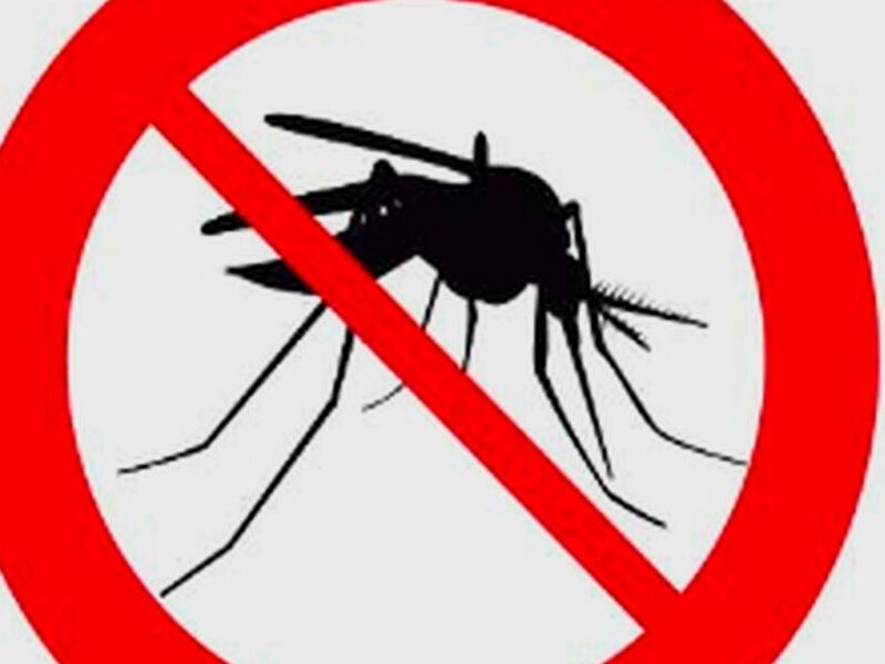 control mosquitos