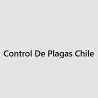 Control De Plagas Chile