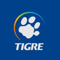 grupotigre1