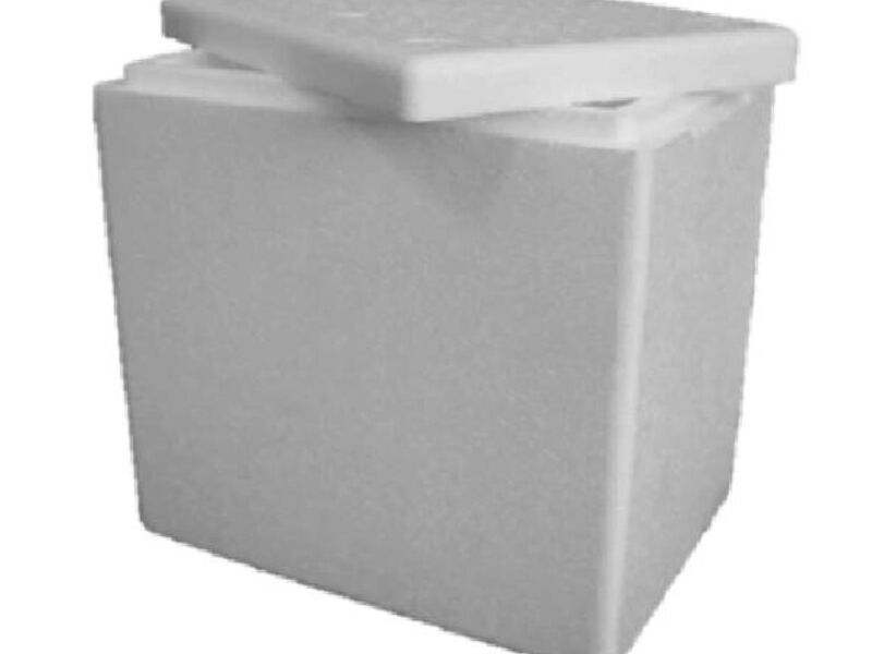 Caja Plumavit 009 Lts Gruesa