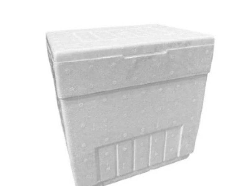 Caja Plumavit 011 Lts